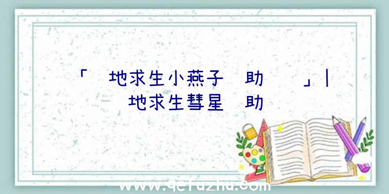 「绝地求生小燕子辅助问题」|绝地求生彗星辅助